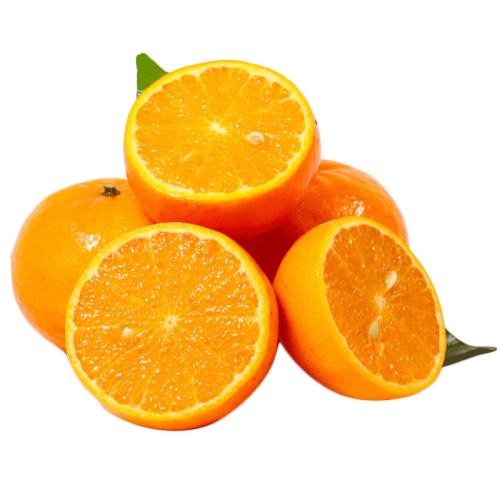 3 60-65mmʵƼ 24¹ָ13.8Ԫ