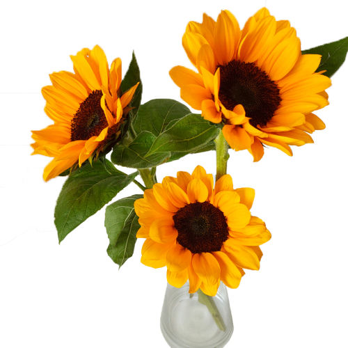 ڲƿ ؼۡСտ8ֱ֧3cm տʻֱˮ廨13.23Ԫ