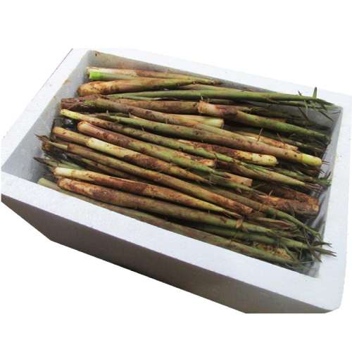 ڲ2 5-50g 5Сڷ13.7Ԫ