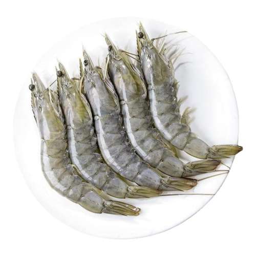 1650g 16-18cm ϶Ϻ3.3ʻٶϺ89.9Ԫ