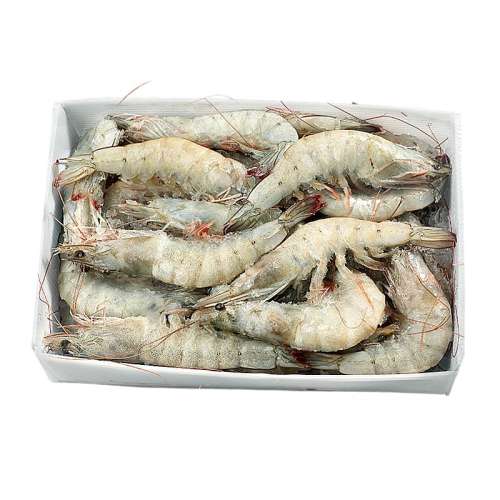 1500g 10-12cm ζϺ203050050.8Ԫ