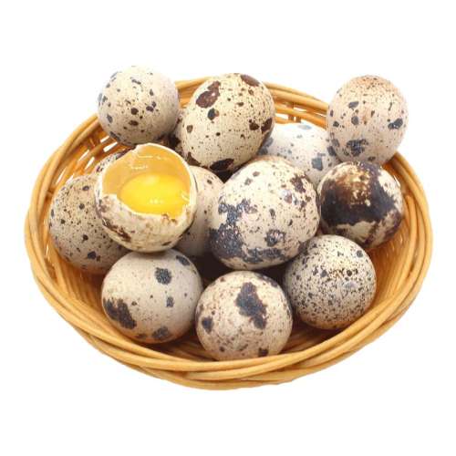 ڲȵ50ũ11.9Ԫ