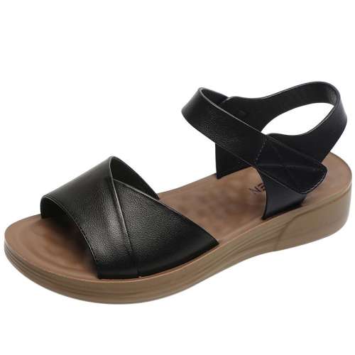 ۻ㣺ɫ 35 ľɭŮЬļħٴЬ290.4Ԫ2(145.2Ԫ/)