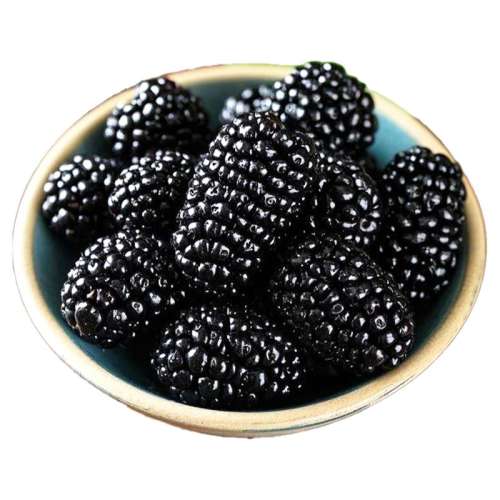 0ӣ½ɣظ250g*2 ½ɣظؼ»33.92Ԫ