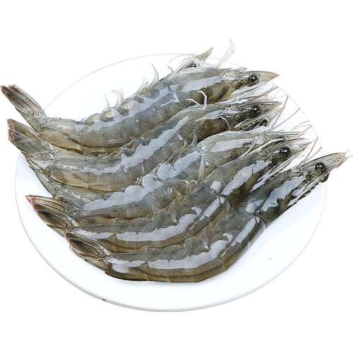 1500g 10-12cm ޱϺشϺ1020˳ᣡ46.52Ԫ