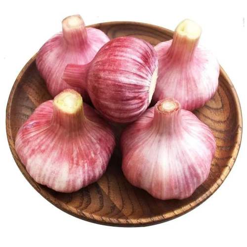 60g 25ͷ⡾С30-35mm ƷʴƤʪƤרǴͷ1.85Ԫ