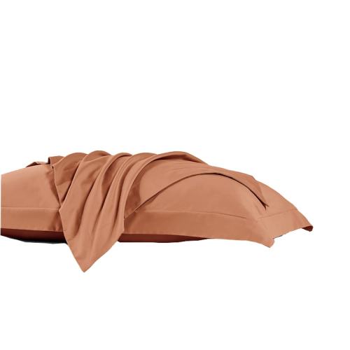 ۻ㣺48cmX74cm ¹һֻװ100֧˫ĥë 100֧˫ĥë˫о75.42Ԫ3(25.14Ԫ/)