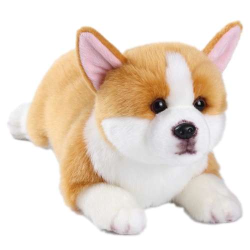 ڲż(Լ50cm*25cm) ë޿ǵ綯 »żëС156Ԫ