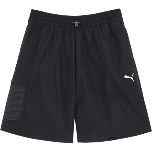 628374-90 170/70A/S Puma/ʿ˶֯̿204Ԫ