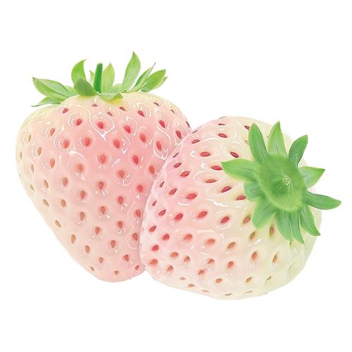 ڲ250g ժ/10g+ͷС ٷѩײݮװֱ߶Ů41.92Ԫ