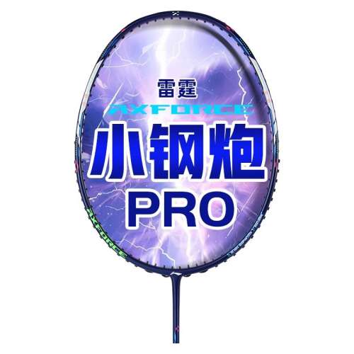 ڲСPRO5U ¼ʦ25ԡ СproëĽ462Ԫ