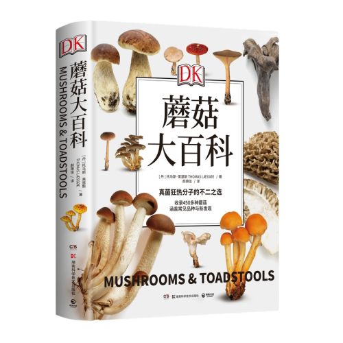 DK ֱӪͯĢٿ˹ʵ83.96Ԫ,ۺ20.99/