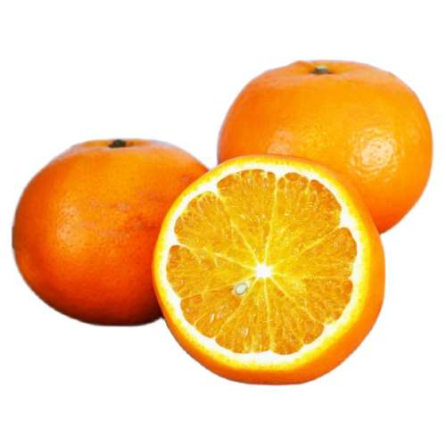 2500g Aͷʹ 60-65mmڲحժַ Ʒ|ָ10ʸ32.37Ԫ