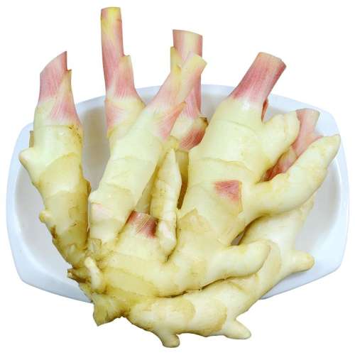 250g ˳۽ؼڴн7.8Ԫ