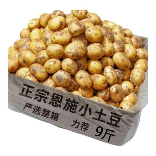 ڲ500g С С9ʻ3.6Ԫ