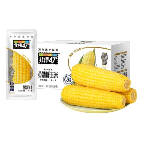 ڲտ100g*3 γ47ʳ׺óӪ16.9Ԫ