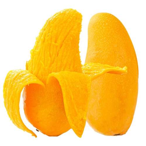 ڲ3 й5-6حСζƼ ժححϽâ8.8Ԫ