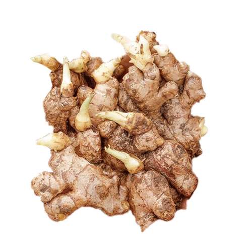 ڲ250g ѿƽСƽ95.7Ԫ