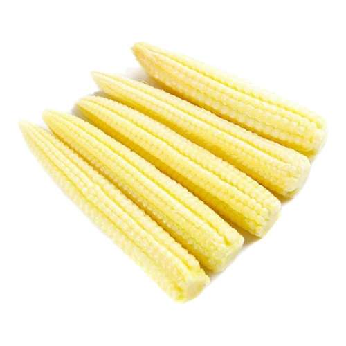 ڲ1 ũ֣ۿɿڡ 9о߲7.7Ԫ