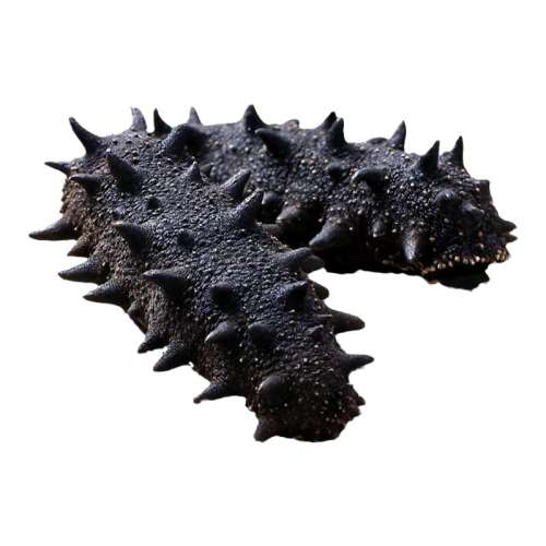 ڲ150g 70-90ֻ/1 9S꣡15ݷɺ368Ԫ