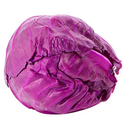 ڲ1250g ժϸ6.9Ԫ