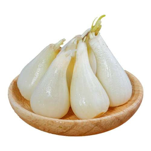 ڲ250g 2025Ĵˊͷ5װ5.7Ԫ
