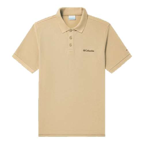 ڲ100 S ױʪPOLO297Ԫ