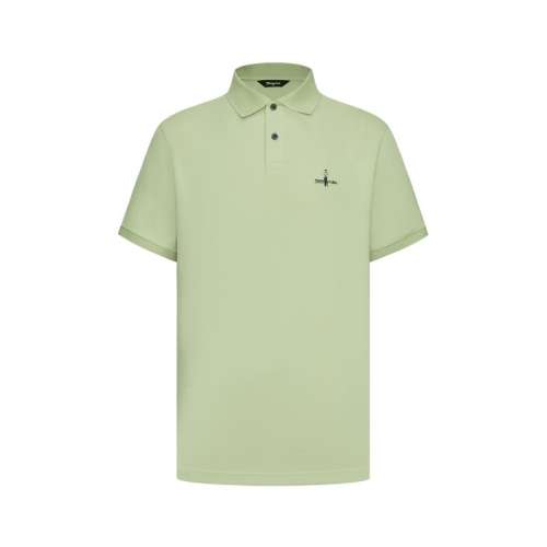 ۻ㣺25 95/S շҲ״polo702Ԫ