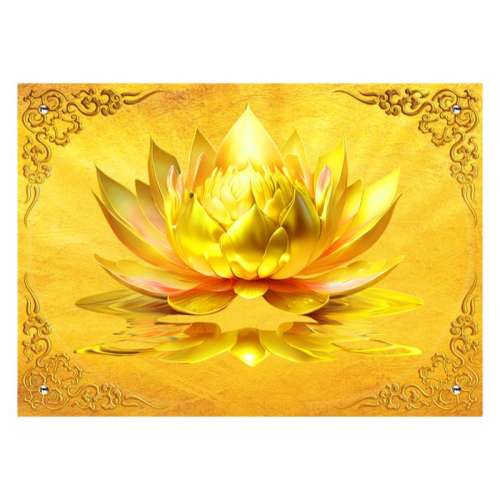 ơ3Dƽ޲/1ƽ ɫɻǽֱֽڻüұֽ102Ԫ4(25.5Ԫ/)