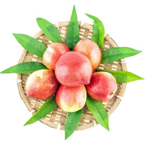 ڲ1 СػݳʣС ʰժ۰ӦˮӲʹ5.9Ԫ