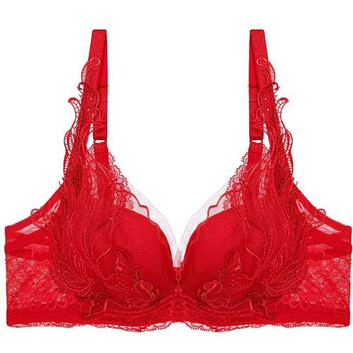 ۻ㣺֬7KA 75B Ľ½]ŮС529.55Ԫ