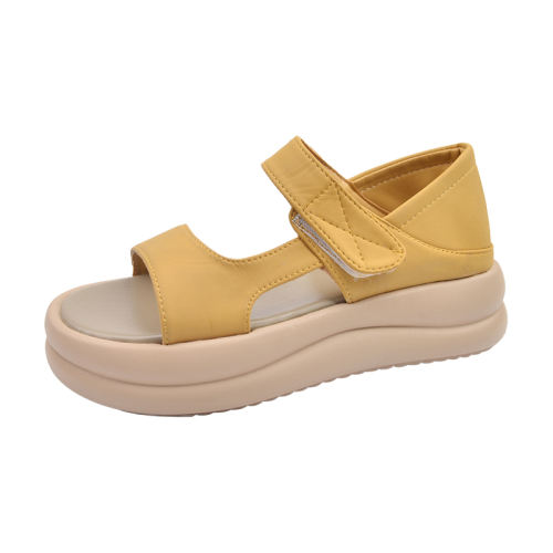 ۻ㣺ɫ 35 ЬŮ2025ļ¿ħɸС˶ɳ̲ŮЬ55Ԫ