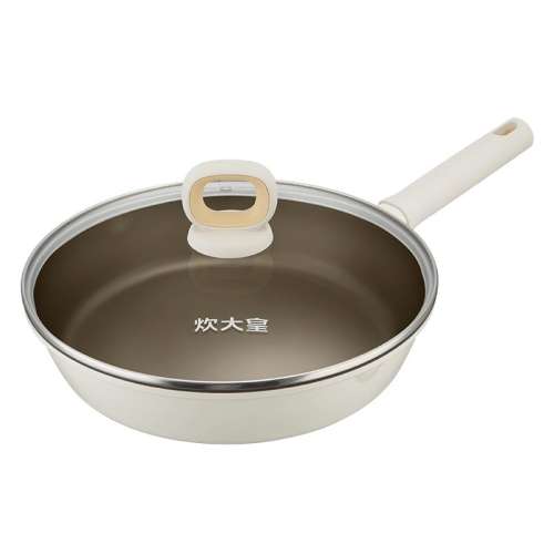 20cm ޸ǿѲճ 1ûʳ ƽ׹ճѸʵ65.55Ԫ