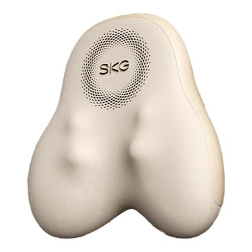 ڲSKG/δ T5-2 SKG/δT5-2388Ԫ