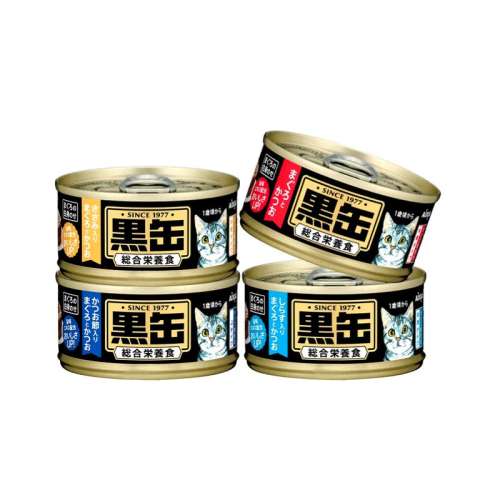 ǹ+ǹ 6 ȫӪèʳAIXIAϲ