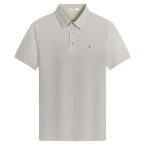 ʯɫ 165 ءPOLO2025ļжtQ4XTX304279.25Ԫ