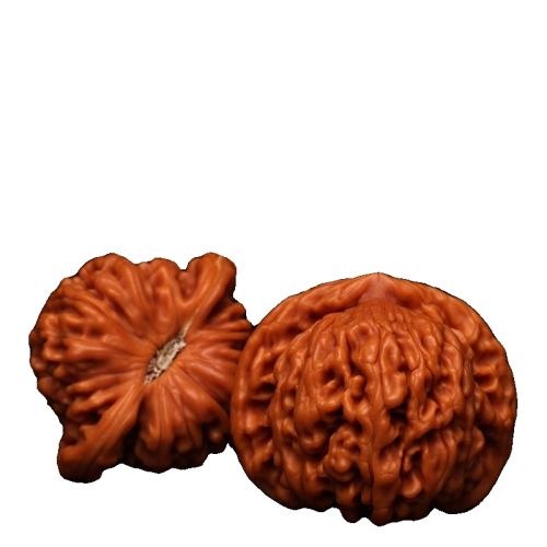 ס¥37-38mmһԣͱװ ¥ʨͷְѼƷ25.5Ԫ