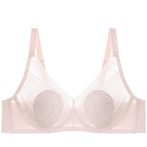 ۻ㣺޾֮- 75B Ľ2025괺޾֮ĻŮȦСᱡ͹199.75Ԫ