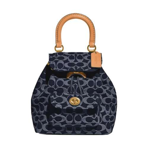 ۻ㣺CJ833-B4/BL һʮCOACHޢRiya˫Ů