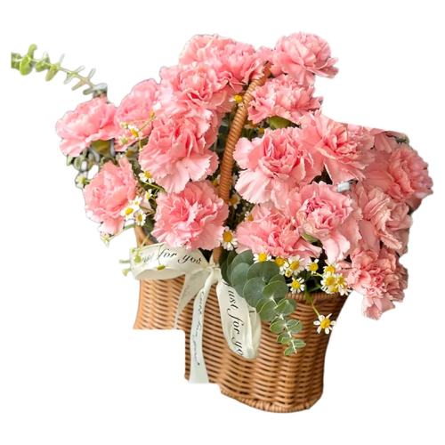 Ʒܰǡ1+ɫ+ĸ׽ڹǩ A+ܰĸ׽ڳƷ36.86Ԫ(88VIP 95)