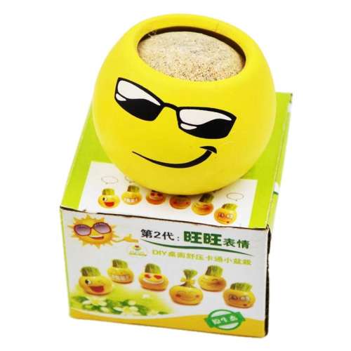 5 칫ֲСֲ4.8Ԫ