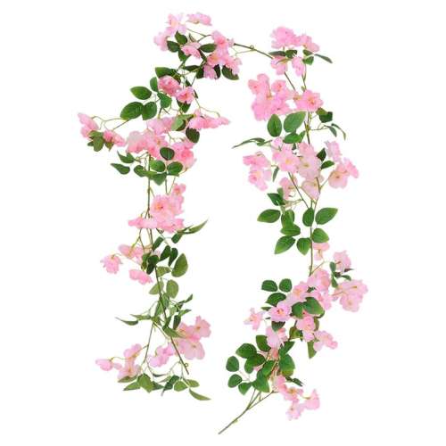  õɫ2 滨ӣװμٻҶ19.8Ԫ