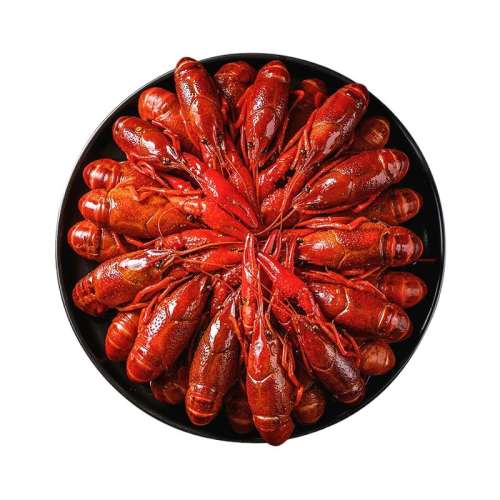ڲ700g*3 СϺϺ ȼʳ䶳ʳ59.9Ԫ