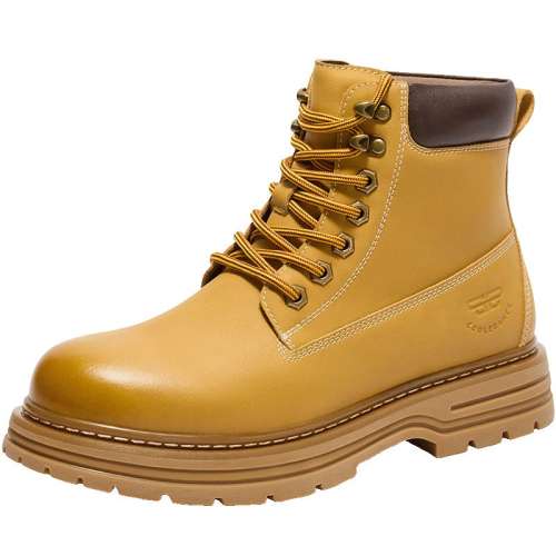 ۻ㣺ɫ- 38 Ь޹װѥѥ24ѥжѥѥ8MR01DD41388.94Ԫ3(462.98Ԫ/)