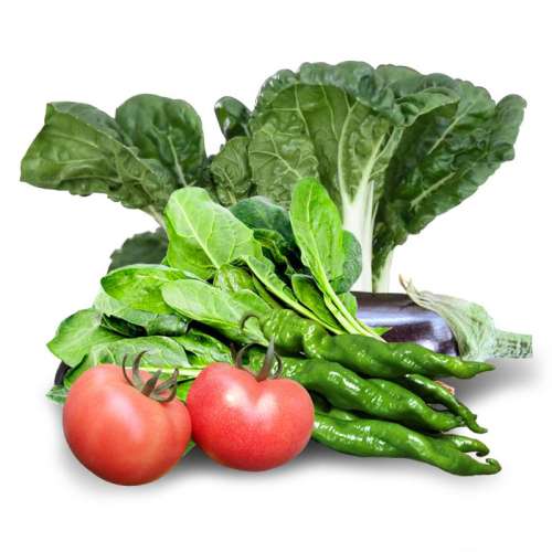 װɫ ũԺ߲ӷѻƹײݮ6.45Ԫ5(1.29Ԫ/)