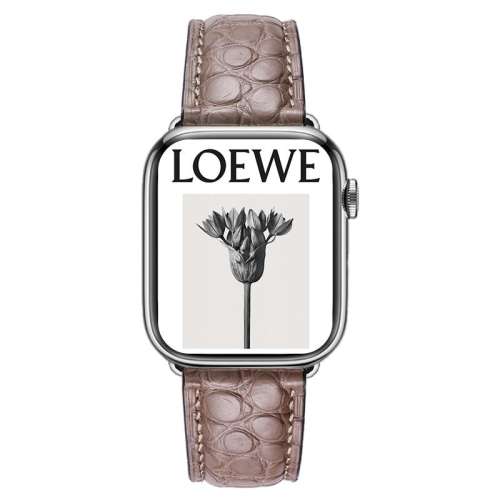 42mm(10iwatch2024¿ ȦǳԲƤ ƻs9/10ƤƤ282.6Ԫ2(141.3Ԫ/)