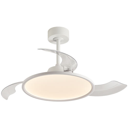 Air/ABS/36/⡾ɫ//2.5cm Pro 1.6cmȵ680Ԫ