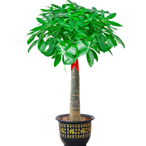 ͻ¥˿1.0-1.1׷衿ר+ʴ+  ͷͻǨҵ49.3Ԫ