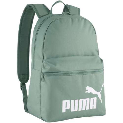 ۻ㣺ɫ-07 ͨѧ˫米PUMA252.75Ԫ3(84.25Ԫ/)