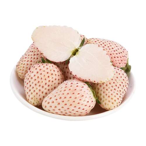500g ˳|?12g+|ͷʹ ˳حѩײݮѡװ70.94Ԫ